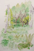 nature reserve backmon