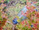 blueberries and pet bottle