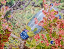 blueberries and pet bottle